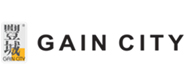 Gain City - Verz Design website design client