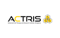 actris - Verz Design digital marketing client