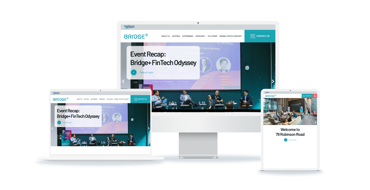 Bridge+ mock website ss
