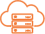 Verz feature secure logo