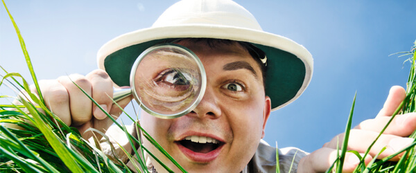 Verz Web Blog Page_Header Photos1