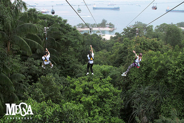 zipline group