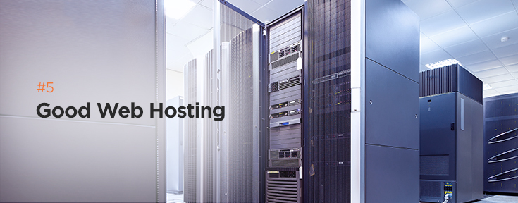 Good Web Hosting