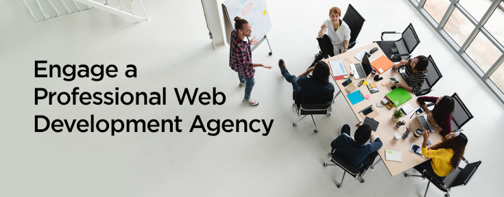 Engage a Professional Web Development Agency