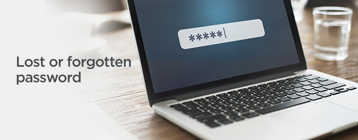 Lost or Forgotten Password