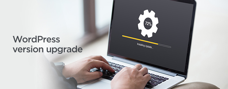 WordPress version upgrade