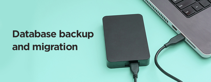 Database backup and migration