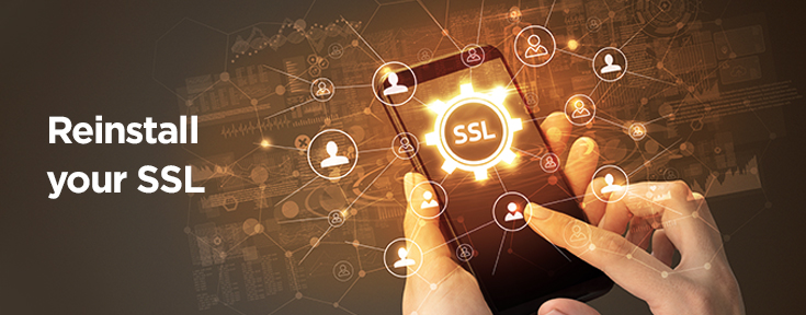 Reinstall your SSL to maintain SEO rankings
