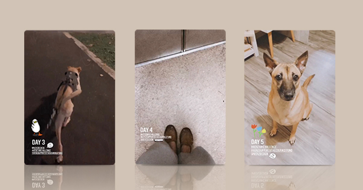 Verz10k Steps Challenge result of Yenni, UX Designer