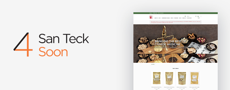 San Teck Soon singapore website for your CNY shopping