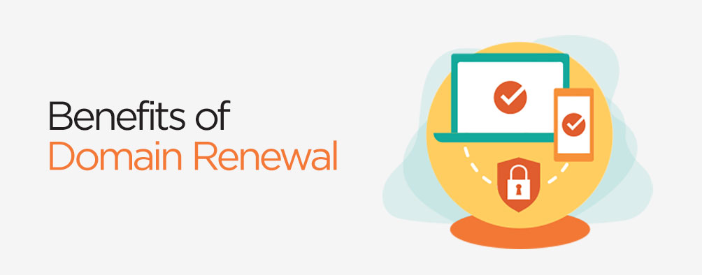 Benefits of Domain Renewal