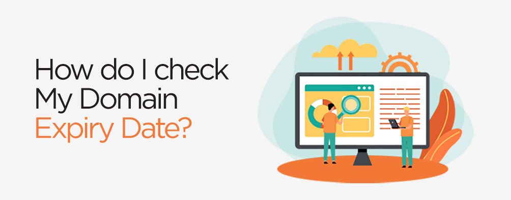 How do I Check My Domain Expiry Date?