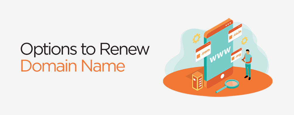 Options to Renew Domain Name