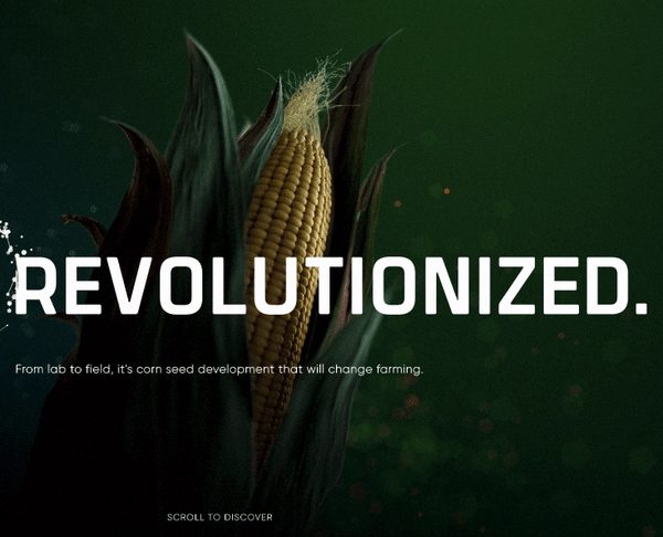 Use cursor effects in Pioneer Microsite website design