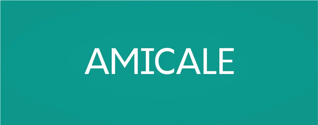 Amicale sans serif font